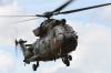 Filename=RIAT10-THUR-D3-0668c.jpg
Filesize=139KiB
Dimensions=1185x788
Date added=Jul 20, 2010 RIAT10-THUR-D3-0668c.jpg